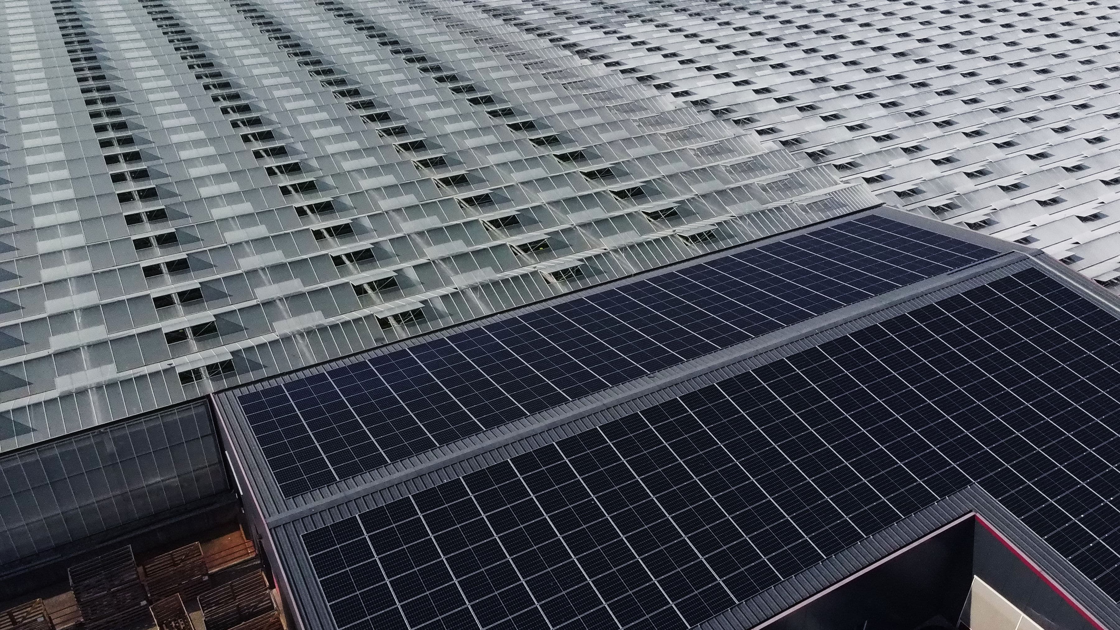 Zonnepanelen op de kas