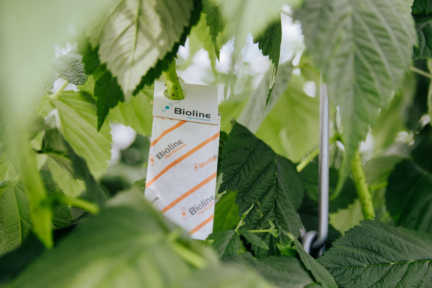 Biologisch label